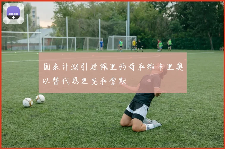 国米计划引进佩里西奇和维卡里奥以替代恩里克和索默