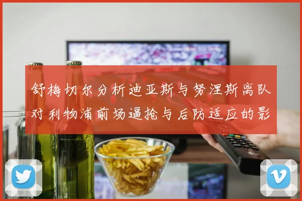 舒梅切尔分析迪亚斯与努涅斯离队对利物浦前场逼抢与后防适应的影响