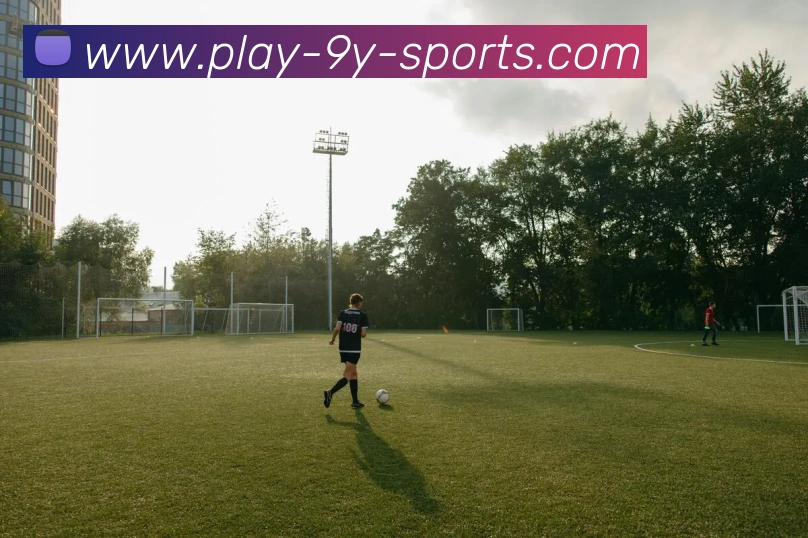 九游体育APP 高清赛事图